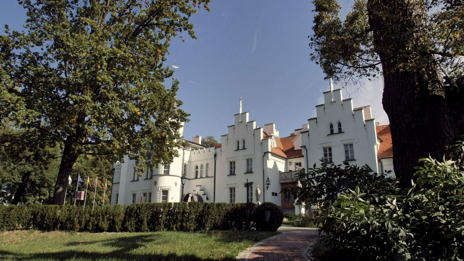 wesela 15 Untitled 1.41.1