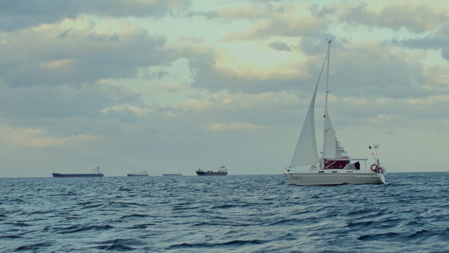 wesela 8 Untitled 6.1.2